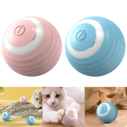 Automatic Rolling Ball Toy PawStore