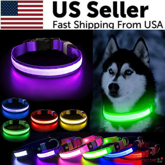 LED Adjustable Dog Collar Blinking Flashing Light | Pawstore PawStore